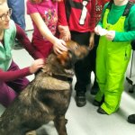 phoca_thumb_m_agvet 1 Fotogalerie